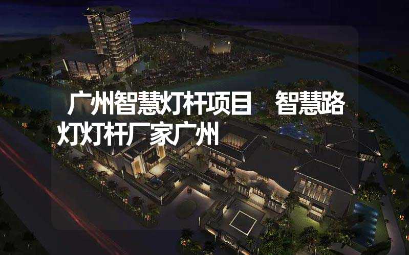 广州智慧灯杆项目 智慧路灯灯杆厂家广州